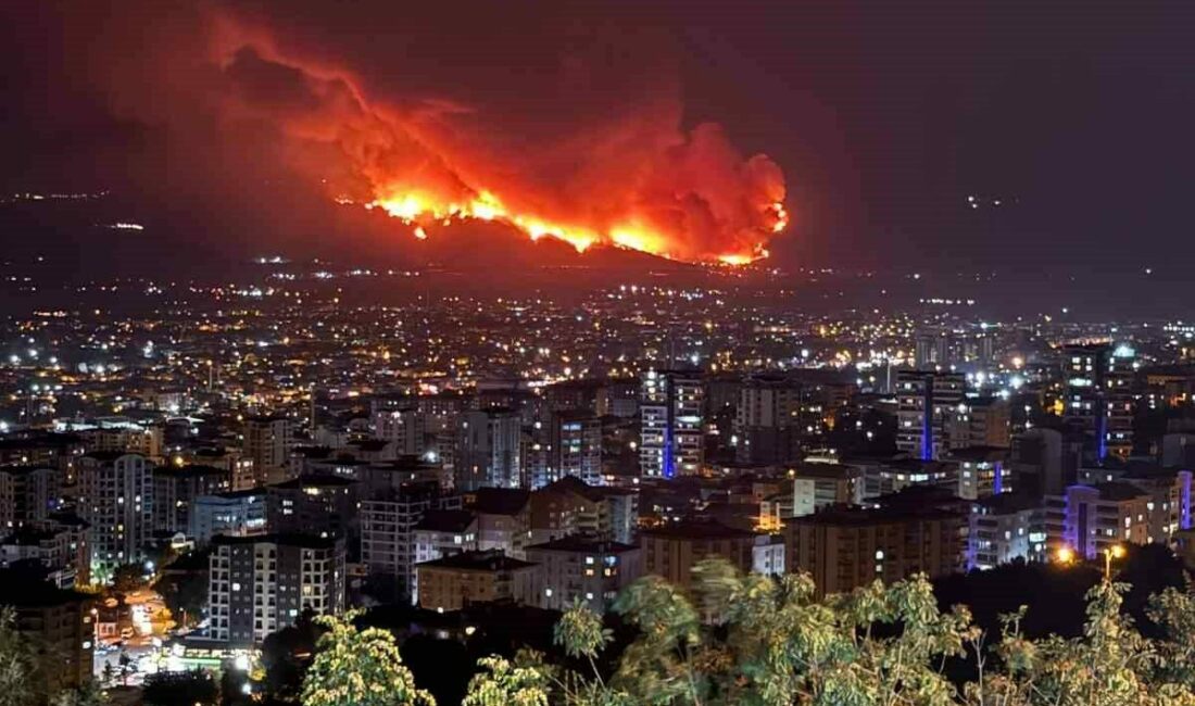 “Doğayı Bilmeyenler, Ormanları Yönetmesin!”