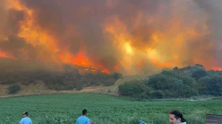 Bursa’da orman yangını