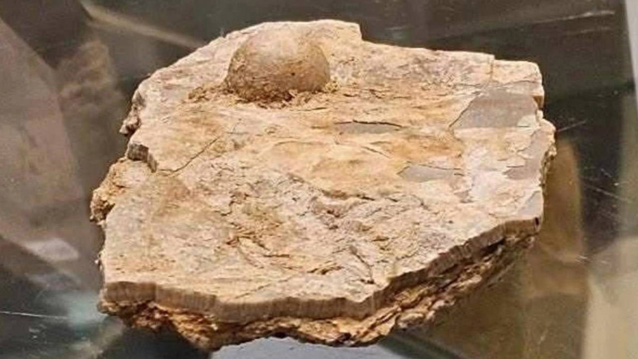 Bilim insanlarını heyecanlandıran keşif