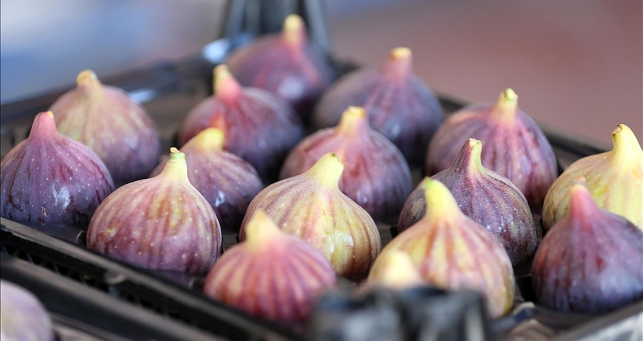 Bursa siyah inciri AB gümrüklerinde bekletiliyor