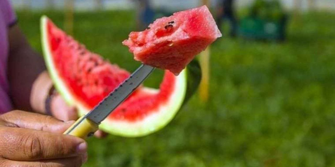 Meyve fiyatı 3 kat arttı!