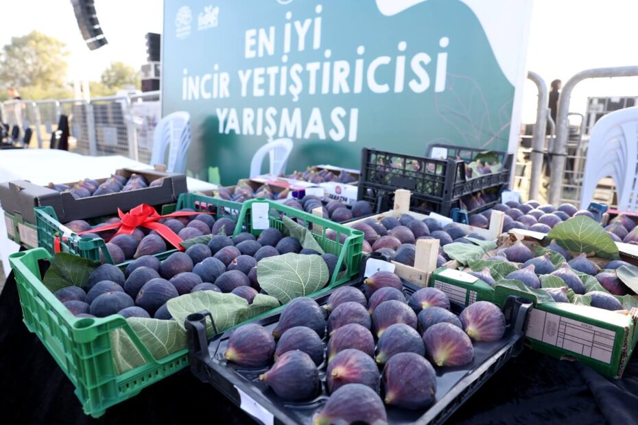 11. Akçalar İncir Festivali 14 Eylül’de