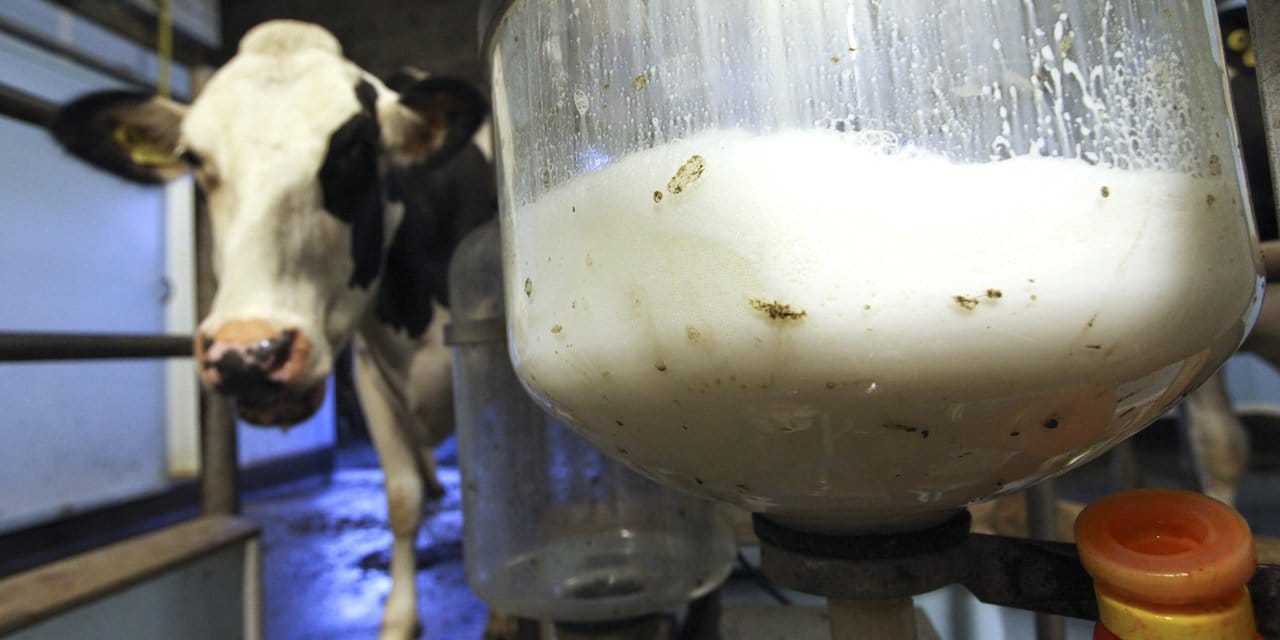 Çiğ süt fiyatlarına zam geldi!