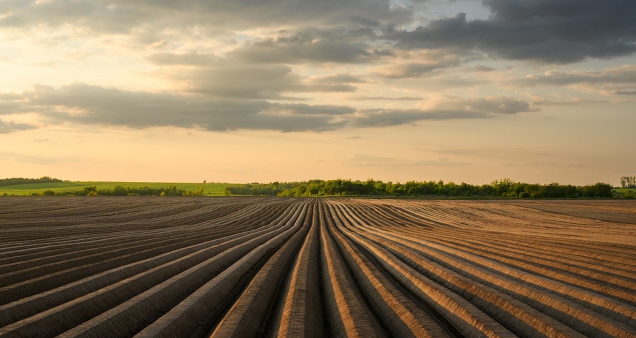 Devletten kiralık tarla dönemi başladı