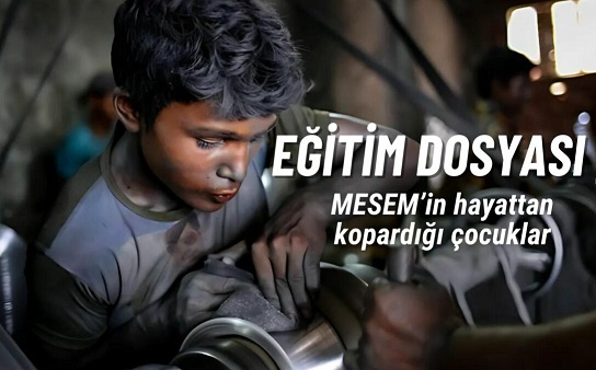 Bir İstatistik Değil, Birer Hayat: MESEM’in Kararttığı Çocukluklar