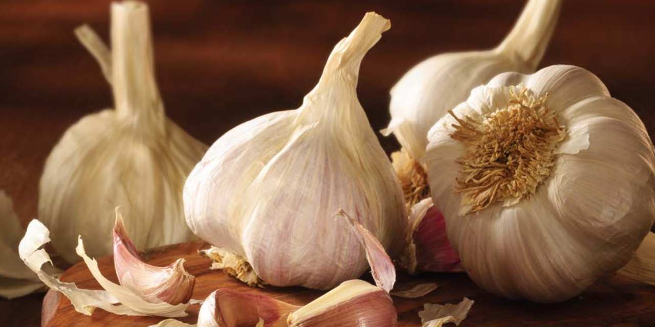 Sarımsak yüzde 1300 zamlandı!