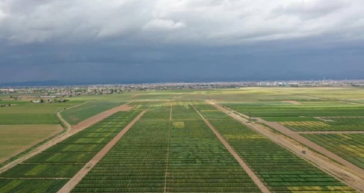 Tarımsal girdi fiyatları Temmuz’da yükseldi: Yıllık artış yüzde 34,2