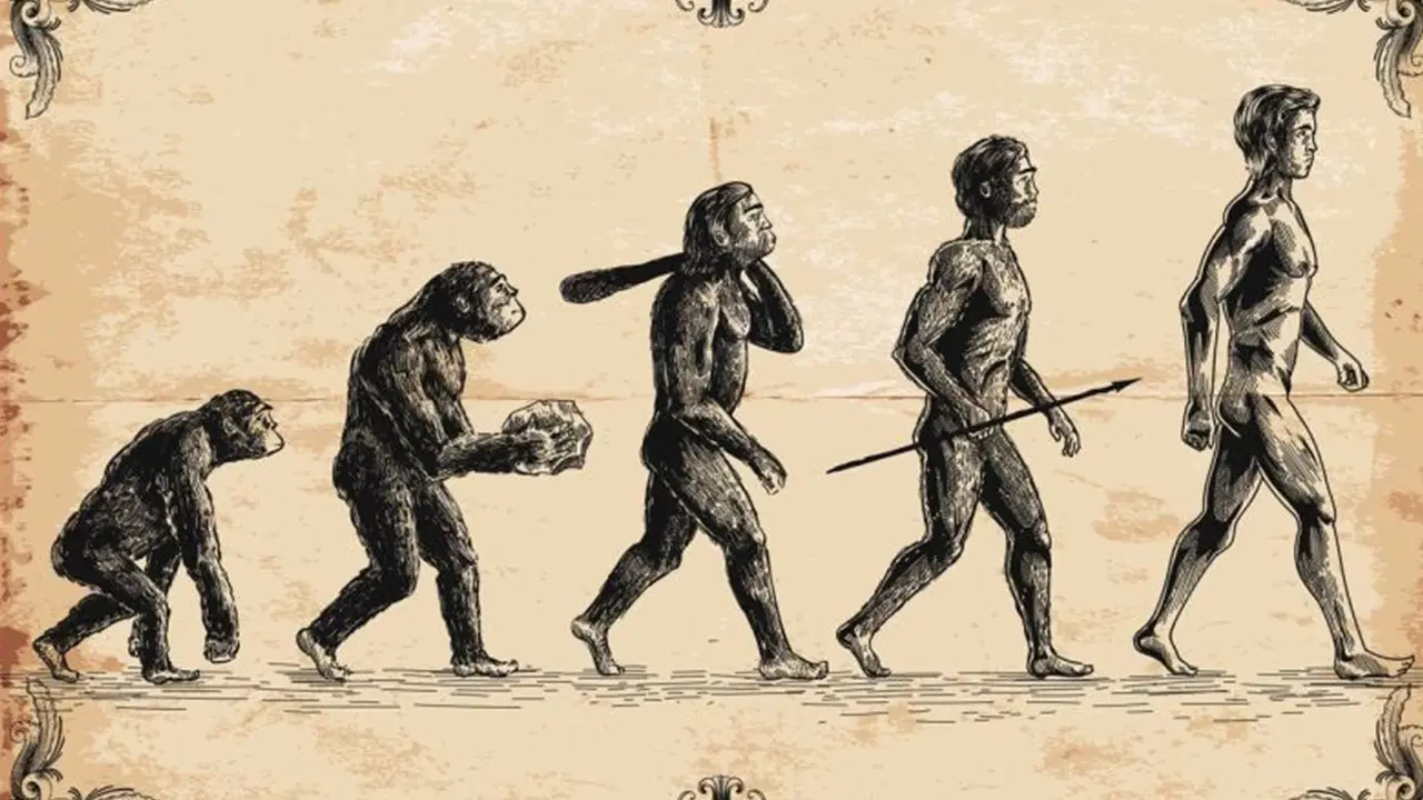 4,4 milyon yıllık ayak bileği kemiği insan evrimine ışık tutuyor