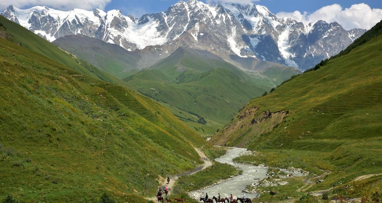 2100 yılına kadar dünyadan silinecekler!