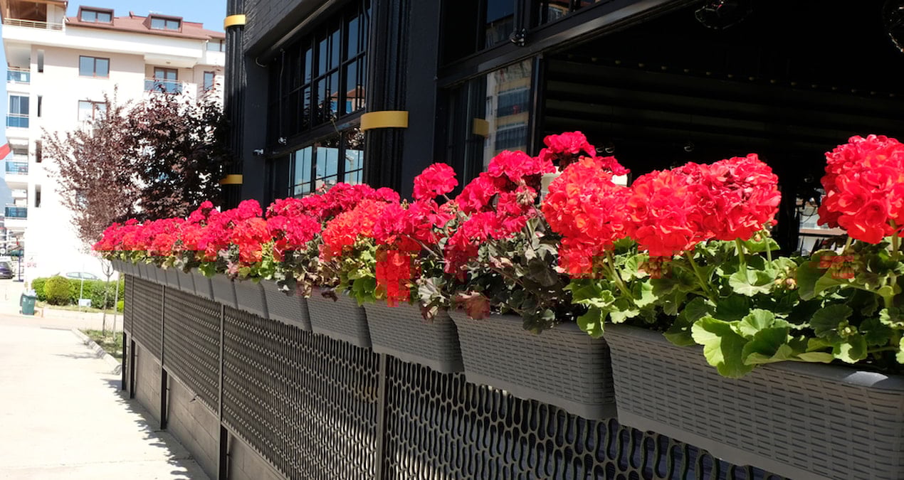 Dünya bu ürünü kasa kasa bizden alıyor