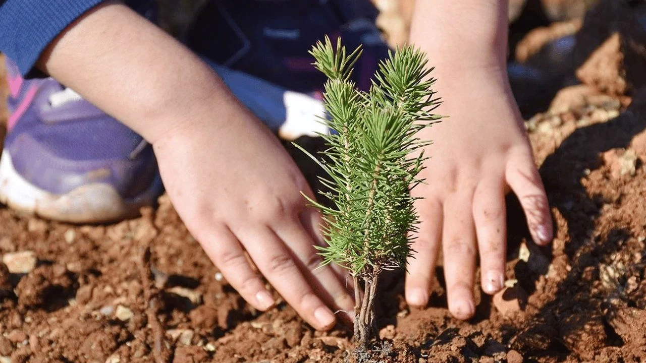2.668 Fidan Toprakla Buluştu