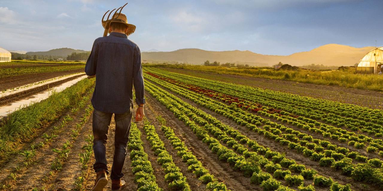 Köye dönene hibe desteği geliyor!