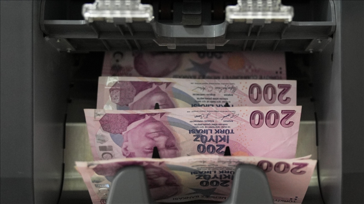 Sosyal ve Ekonomik Destek ödemeleri hesaplarda