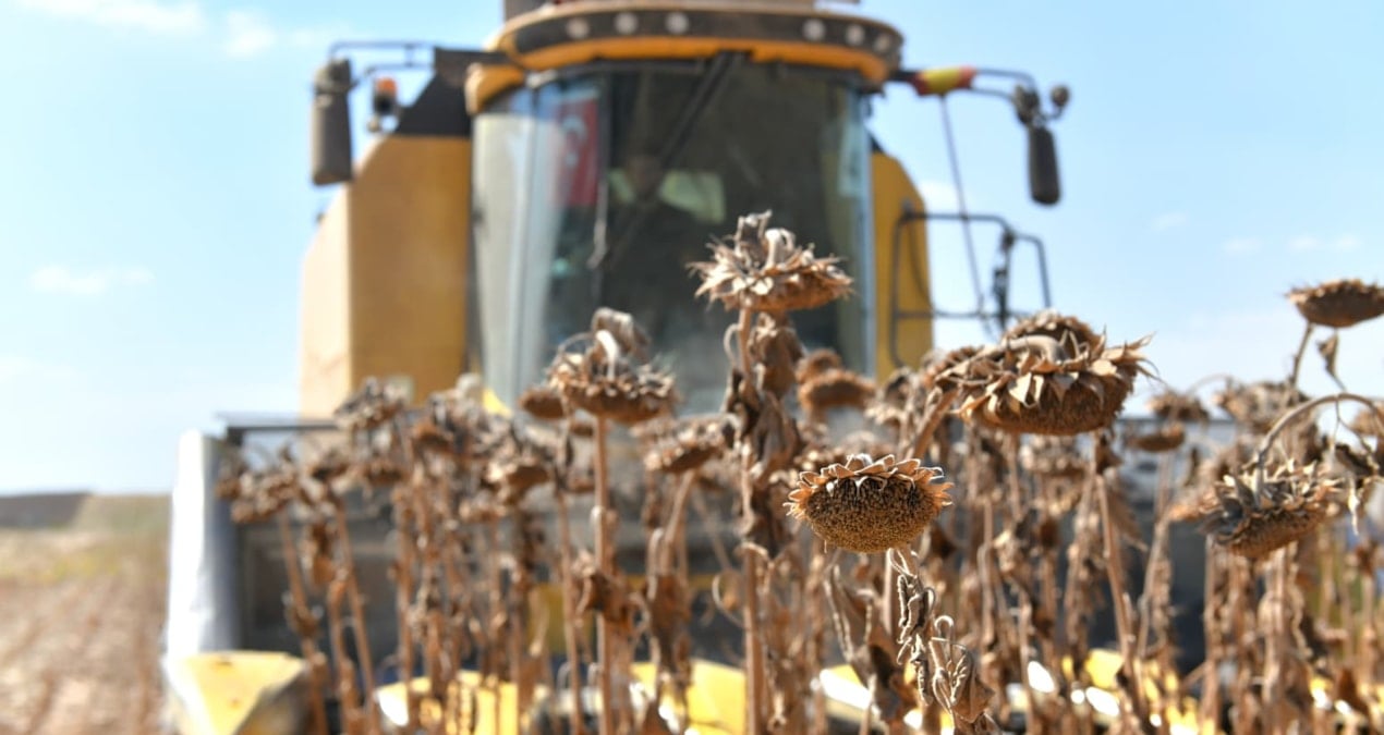 Tarım, gıda ve içecek sektöründen 19,67 milyar dolarlık ihracat