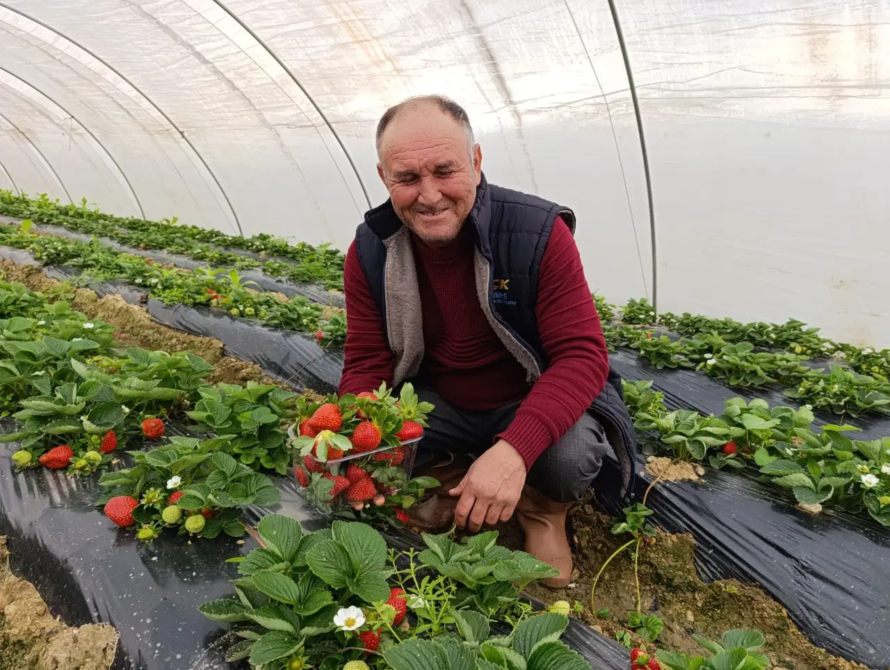 Mevsimi bitti, hasadı bitmedi: Kilosu 200 TL…