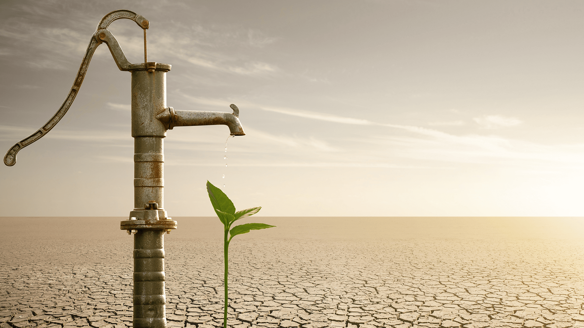 “Köylünün Alın Terini Görmezden Gelenler Bu Toprağın Gerçeğinden Kopuktur”