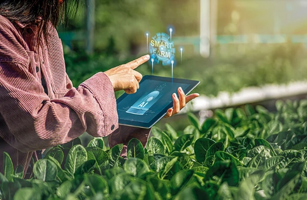Dağ Yöresine “Tarım İstasyonları” Projesi Yakışır!