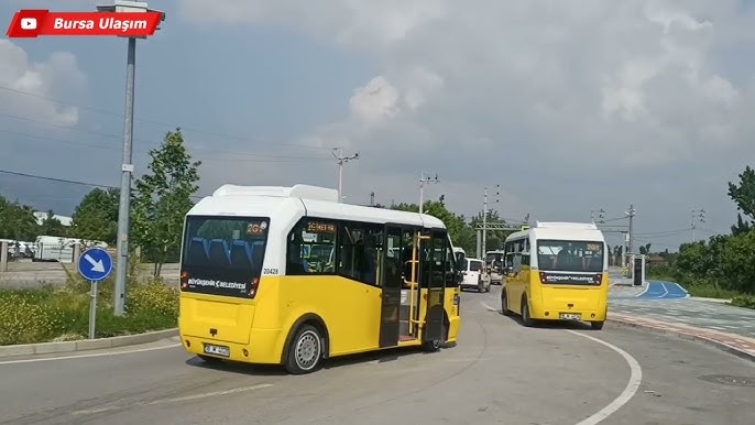 Ayva Güven Tazeleyerek Yola Devam Etmeye Hazırlanıyor