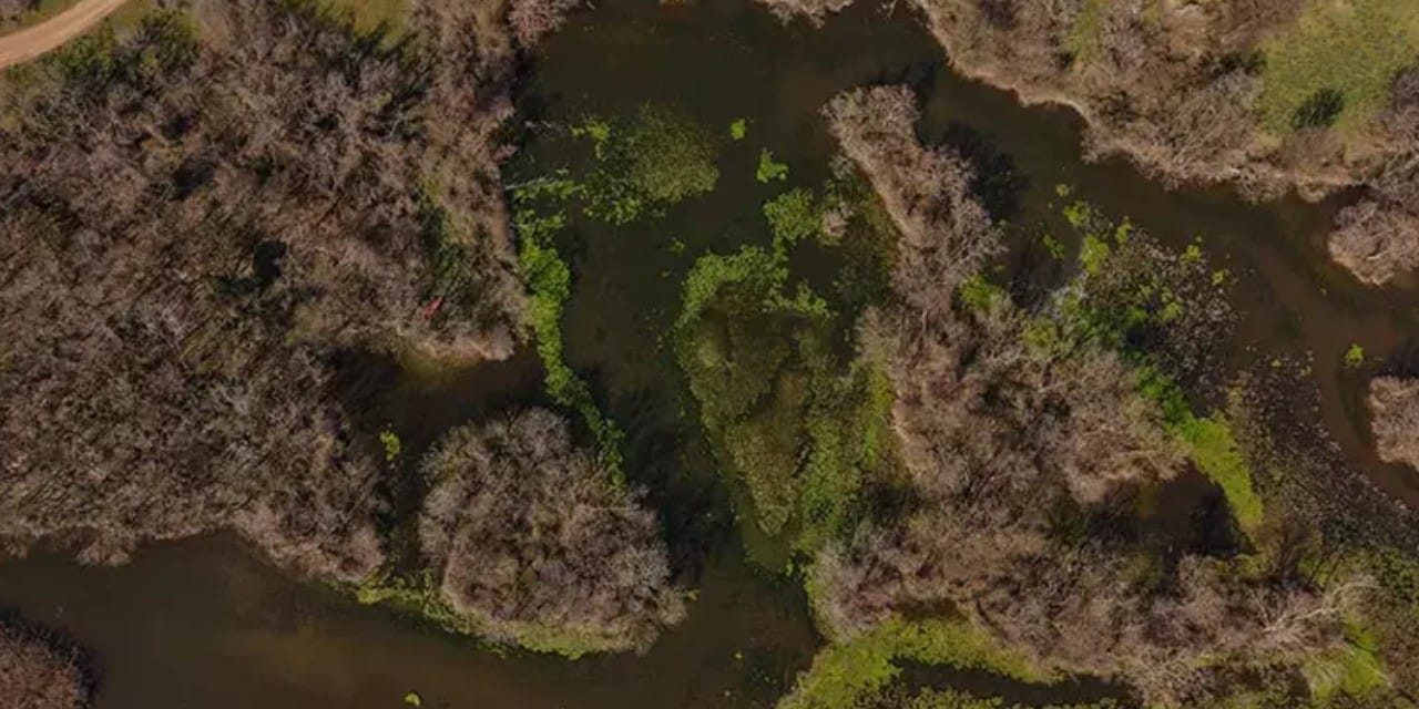 5 ay önce tamamen kurumuştu: Yağmurlarla yeniden doğdu