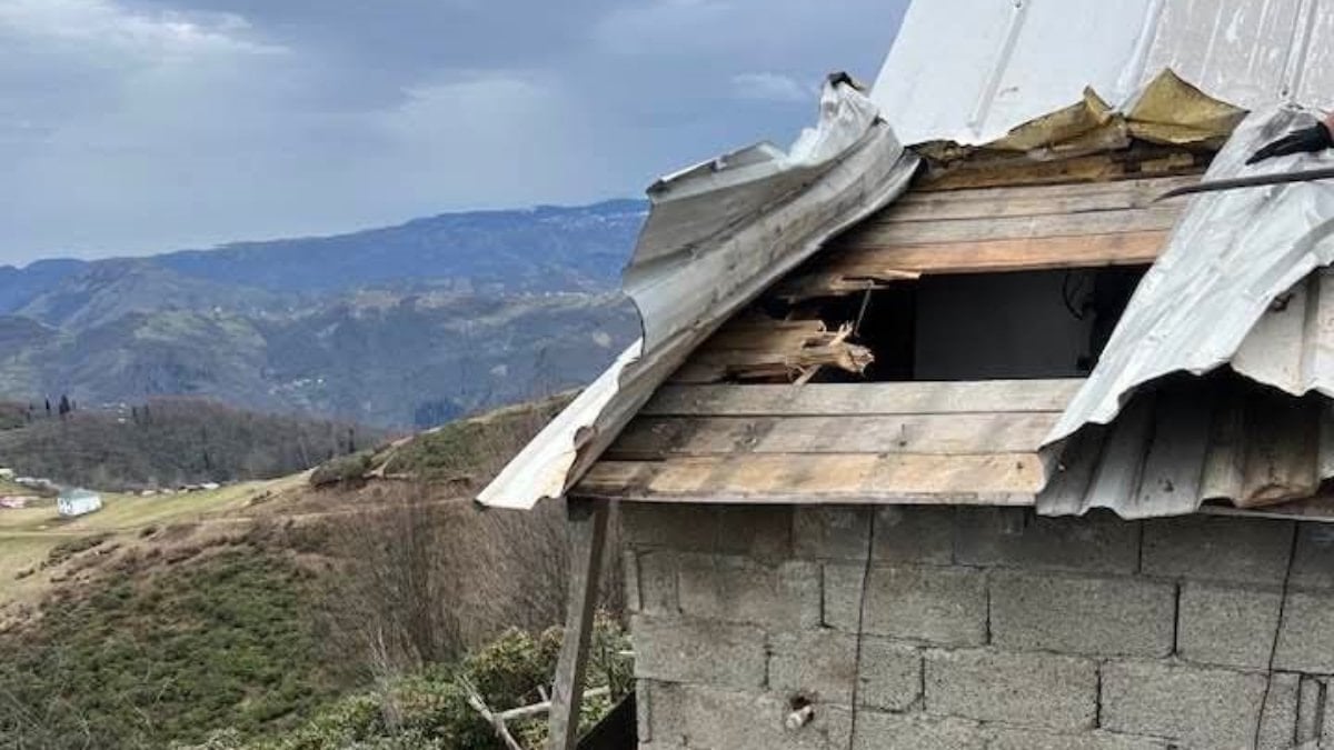 Ayı Hareketliliği!