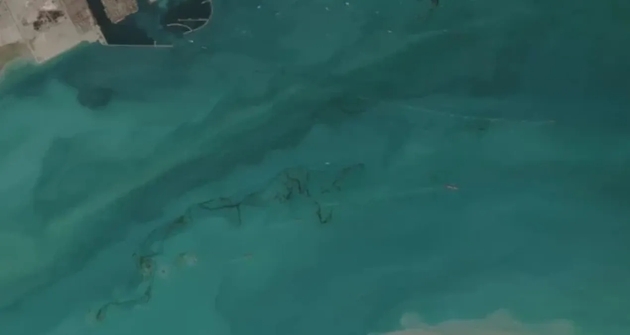 Çevresel Kriz: Körfez Bölgesinde Petrol Sızıntıları ve Etkileri