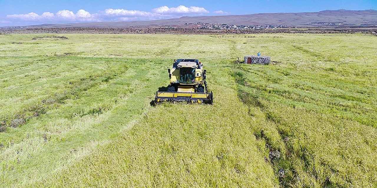 Çiftçilere destek ödemesi hesaplara yatırılıyor