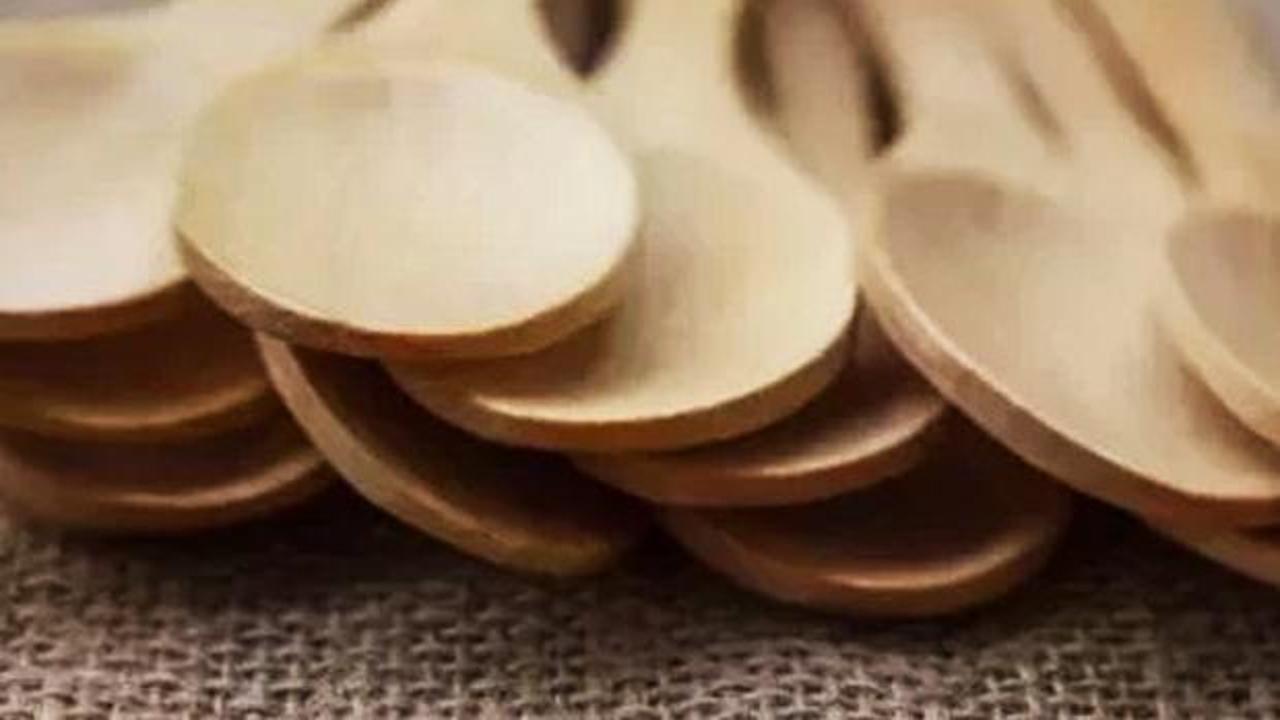 Evinize sakın sokmayın: Kanser riski taşıyor!