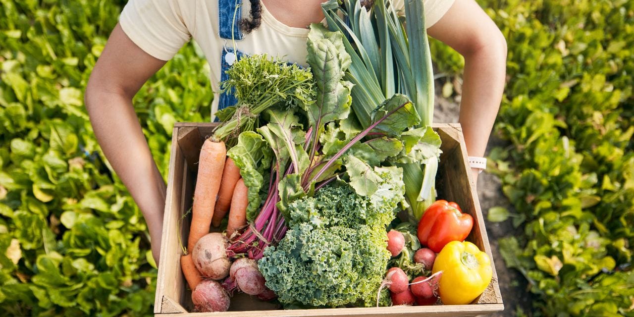 Gıda fiyatlarında artış sürüyor