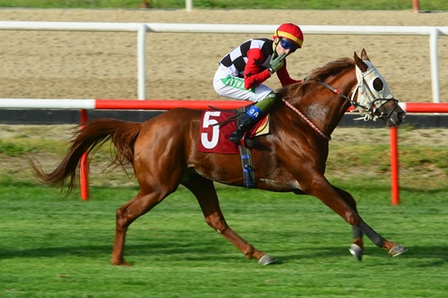 Bursa’da Anlamlı Koşu: Mustafa Kavçın Koşusu’nu Cebeltuna Kazandı