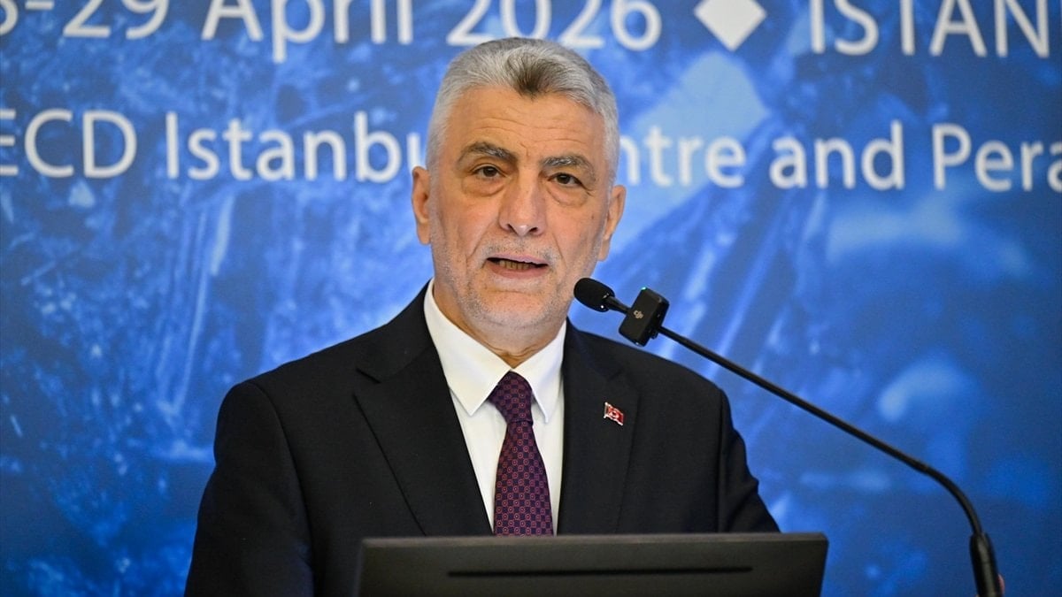 OECD Kritik Mineraller Forumu