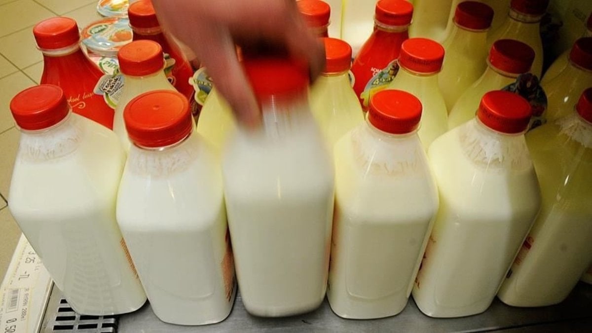 Ayran, Kefir ve Yoğurt Üretiminde Rekor Artış