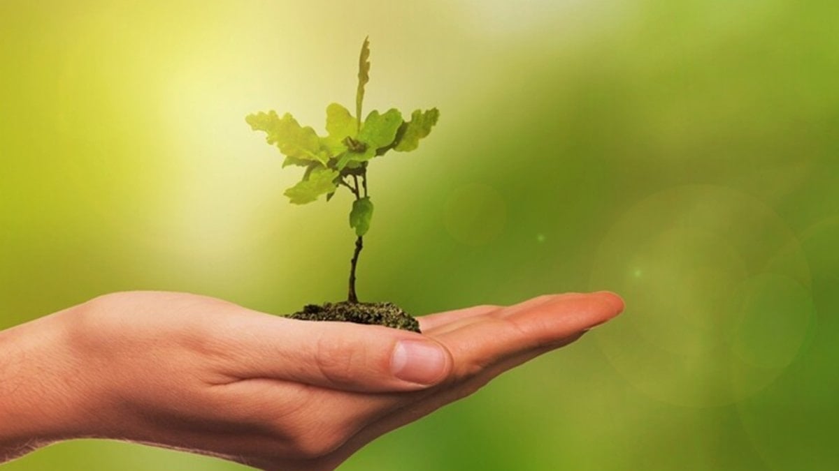 Türkiye COP31’e Hazırlanıyor: Uluslararası Medya Turu Başlıyor