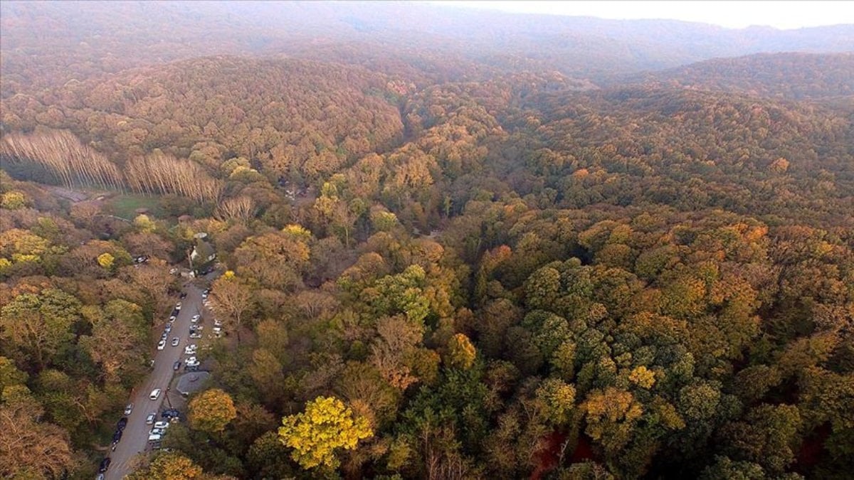 İstanbul’da Ormanlara Girişe Yaz Dönemi Kısıtlaması