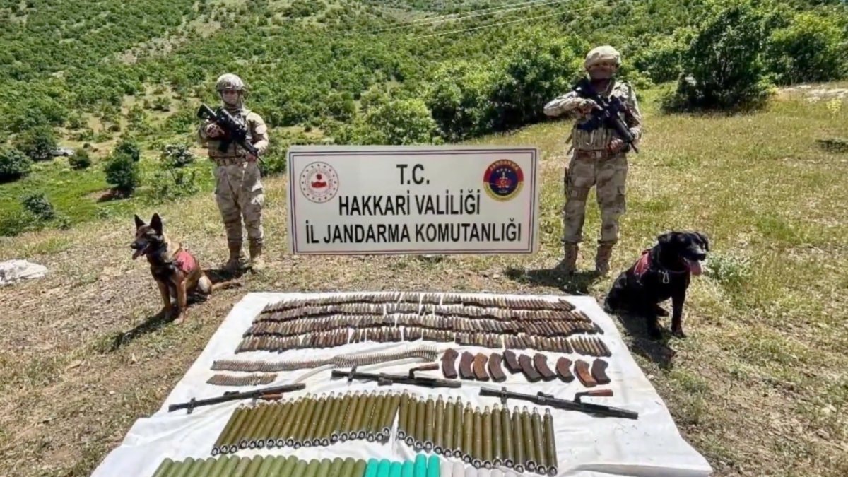 Jandarma 8 İlde Terör Operasyonları Düzenledi