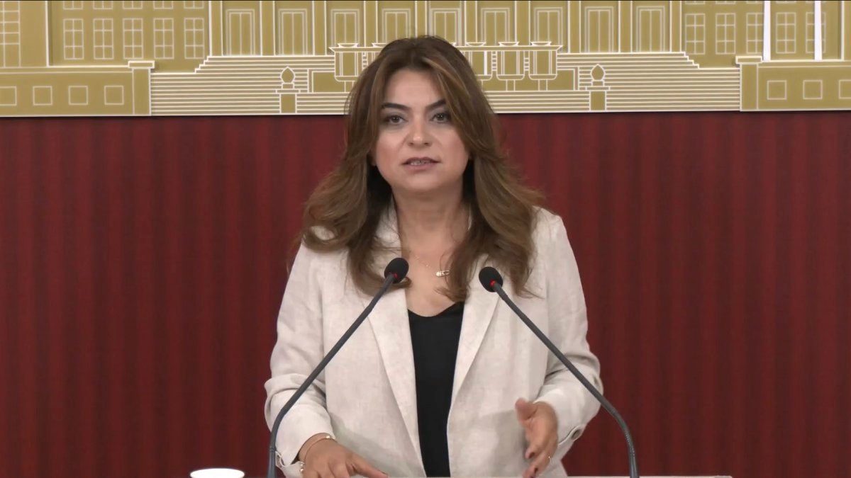 TBMM’de Çerçeve Yasa Sürecinde Yeni Dönem İddiası