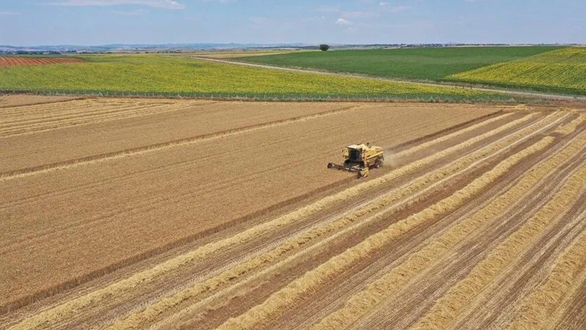 Tarım Destekleri: 2024 İlk Yarı Ödemeleri