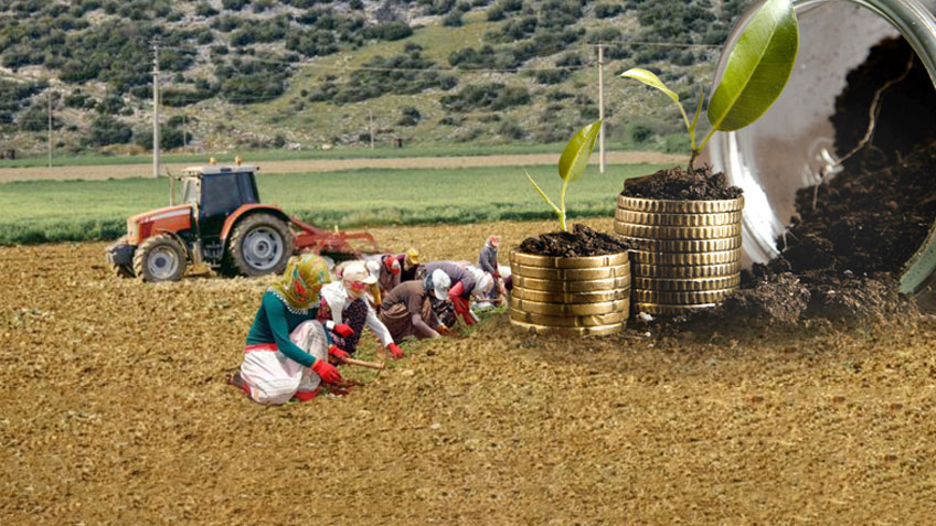 Anahtar Parti Bursa: Herkes Borsayı Konuşurken 2 Milyon Üretici Zorda