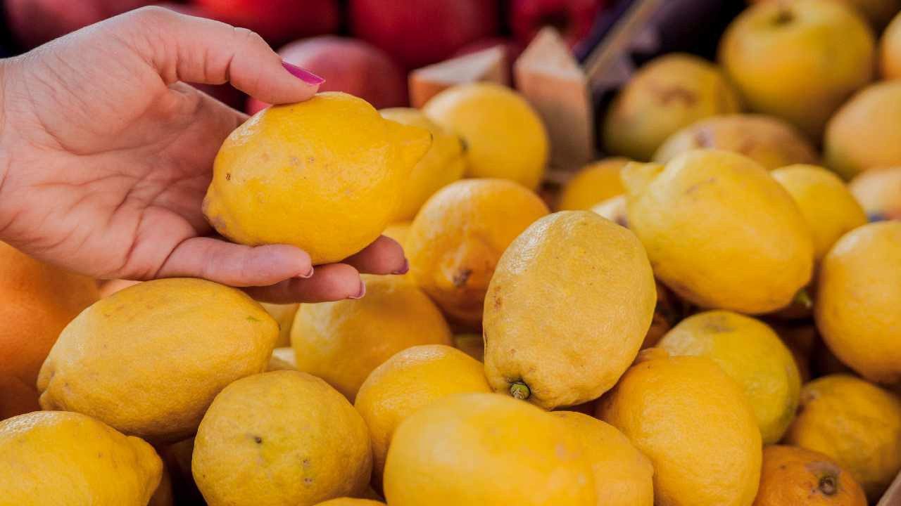 Eylülde Üretici ve Market Fiyat Farkları